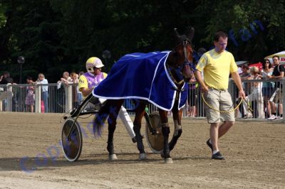 20120617_07c_048.JPG