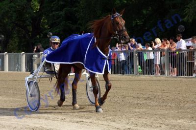20120617_07c_055.JPG