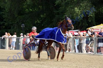 20120617_07c_071.JPG