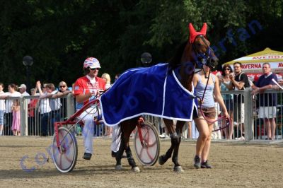 20120617_07c_105.JPG
