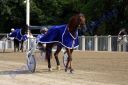 20120617_07c_051.JPG