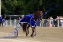 20120617_07c_053.JPG