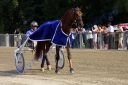20120617_07c_056.JPG