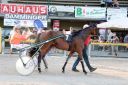 Dateiname=IMG_1812.JPG
Dateigröße=118KB
Abmessungen: 750x500
hinzugefügt am: 01. September 2016 IMG_1812.JPG