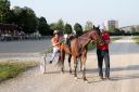 Dateiname=IMG_1816.JPG
Dateigröße=110KB
Abmessungen: 750x500
hinzugefügt am: 01. September 2016 IMG_1816.JPG