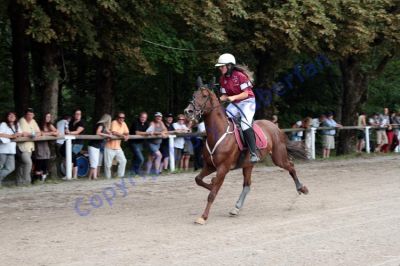 20120815_00_33.JPG