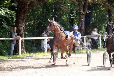 20120815_01_16.JPG
