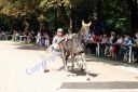 20120815_01_85.JPG