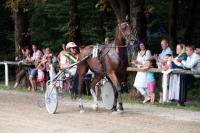 20120815_04_76.JPG