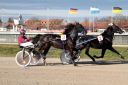 Dateiname=IMG_0039.JPG
Dateigröße=104KB
Abmessungen: 750x500
hinzugefügt am: 01. September 2016 IMG_0039.JPG