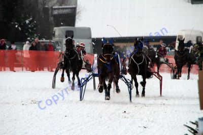 IMG_1174.JPG