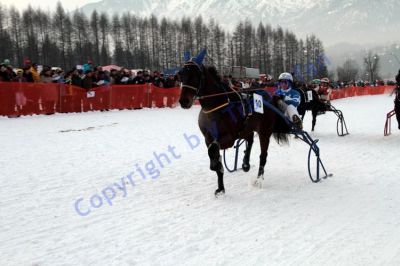 IMG_1193.JPG