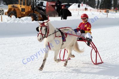 20130127_020.JPG