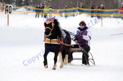 IMG_0575.JPG