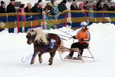 IMG_0632.JPG