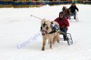 Dateiname=IMG_0620.JPG
Dateigröße=72KB
Abmessungen: 750x500
hinzugefügt am: 06. September 2016 IMG_0620.JPG