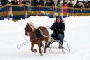 Dateiname=IMG_0626.JPG
Dateigröße=87KB
Abmessungen: 750x500
hinzugefügt am: 06. September 2016 IMG_0626.JPG