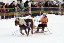 Dateiname=IMG_0631.JPG
Dateigröße=100KB
Abmessungen: 750x500
hinzugefügt am: 06. September 2016 IMG_0631.JPG