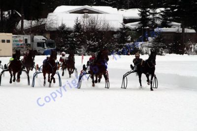IMG_0054.JPG