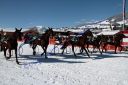 IMG_0110.JPG