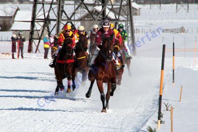 IMG_0826.JPG