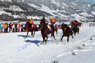 IMG_0876.JPG