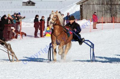 IMG_0959.JPG