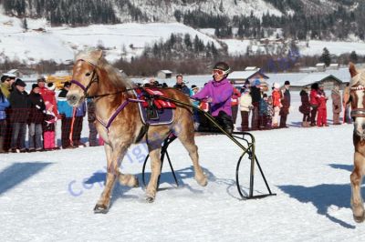 IMG_0985.JPG