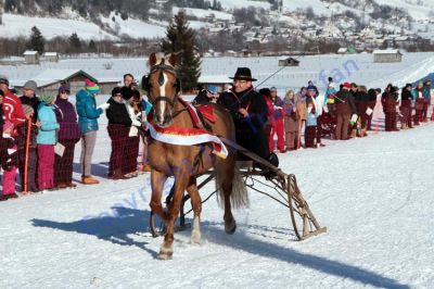 IMG_1050.JPG