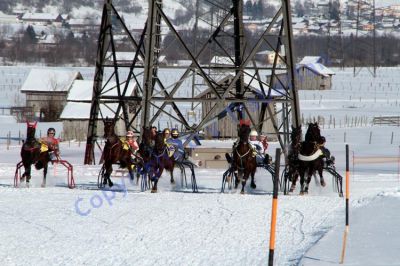 IMG_1094.JPG