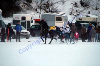 IMG_1110.JPG