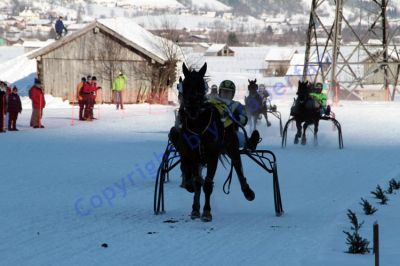 IMG_1153.JPG