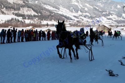 IMG_1160.JPG