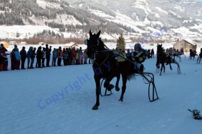 IMG_1161.JPG