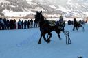 IMG_1162.JPG
