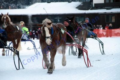 IMG_1447.JPG