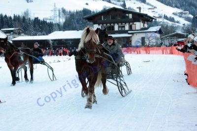 IMG_1449.JPG