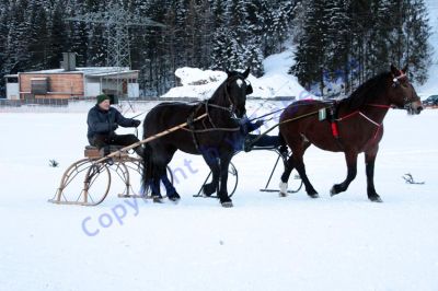 IMG_1455.JPG