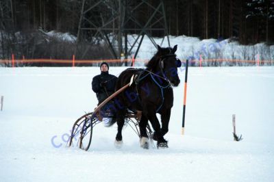 IMG_1468.JPG