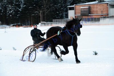 IMG_1474.JPG