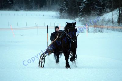 IMG_1485.JPG