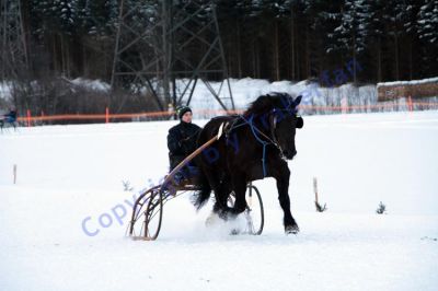 IMG_1487.JPG