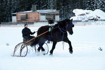 IMG_1489.JPG