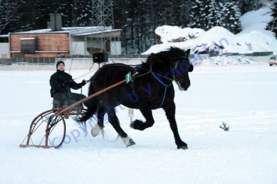 IMG_1490.JPG