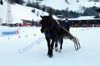 IMG_1512.JPG