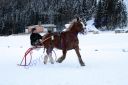 IMG_1460.JPG