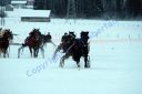 IMG_1462.JPG