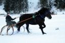 IMG_1497.JPG