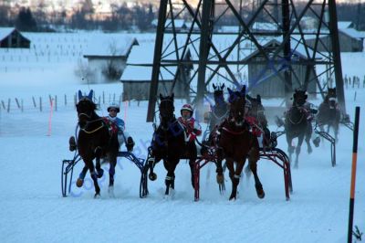 IMG_1593.JPG