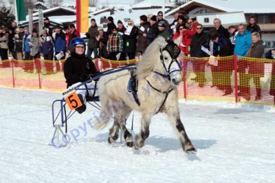 IMG_0367.JPG